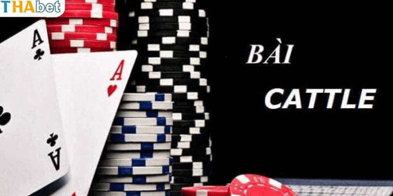 Giới thiệu chi tiết về game bài cát tê